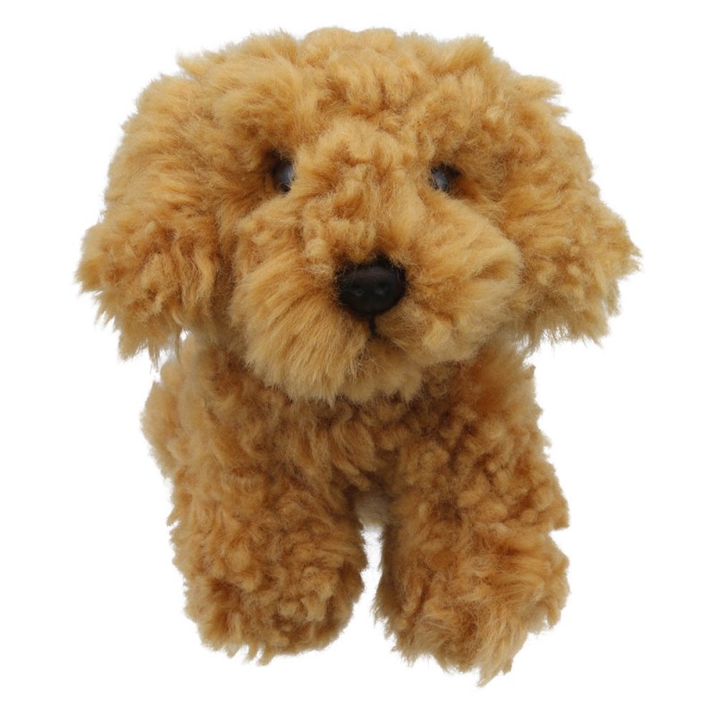 Cockapoo (Golden) – Wilberry Favourites 4 Cockapoo (Golden) – Wilberry Favourites 4