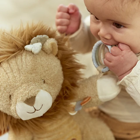 LITTLE DUTCH. Υφασμάτινο λιονταράκι δραστηριοτήτων Safari Friends GRS 12 LITTLE DUTCH. Υφασμάτινο λιονταράκι δραστηριοτήτων Safari Friends GRS 12